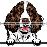English Springer Spaniel Dog Breed Peeking Color ClipArt SVG