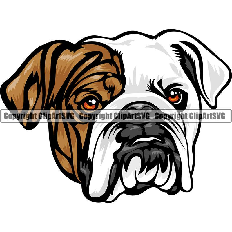 English Bulldog Dog Breed Head Color ClipArt SVG
