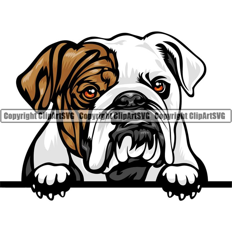 English Bulldog Dog Breed Peeking Color ClipArt SVG