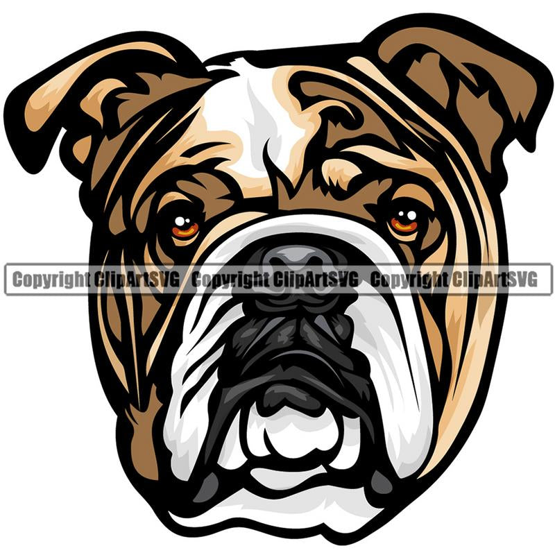 English Bulldog Dog Breed Head Color ClipArt SVG