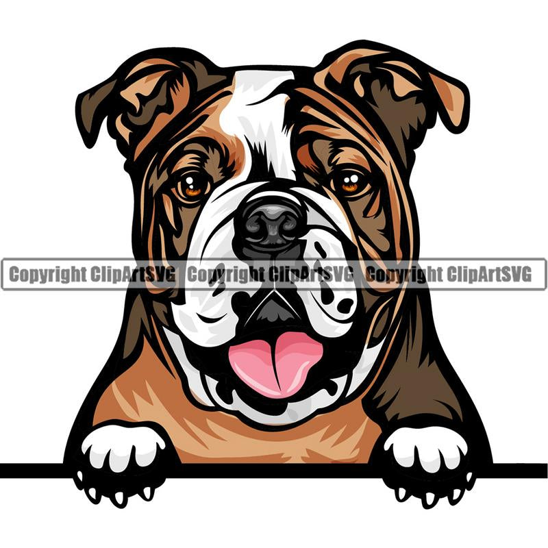 English Bulldog Dog Breed Peeking Color ClipArt SVG