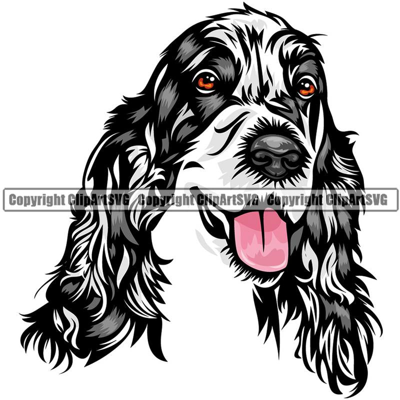 English Cocker Spaniel Dog Breed Head Color ClipArt SVG