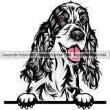 English Cocker Spaniel Dog Breed Peeking Color ClipArt SVG