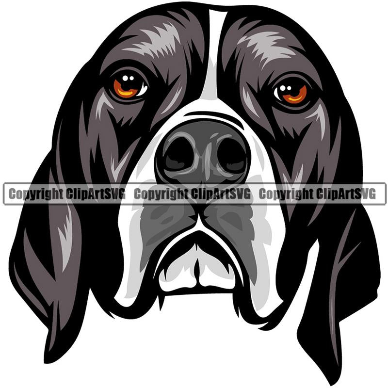 English Pointer Dog Breed Head Color ClipArt SVG