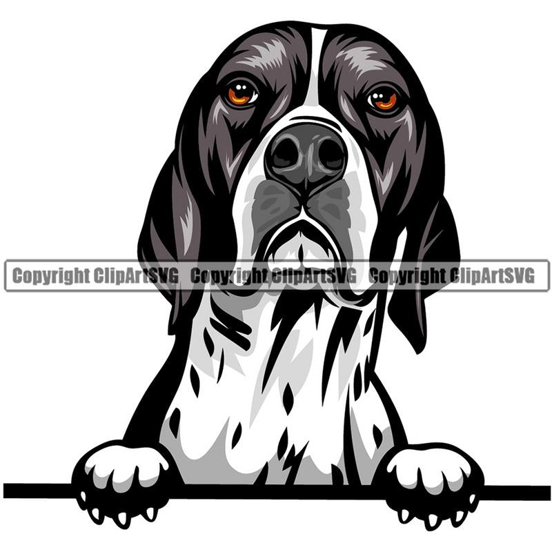 English Pointer Dog Breed Peeking Color ClipArt SVG