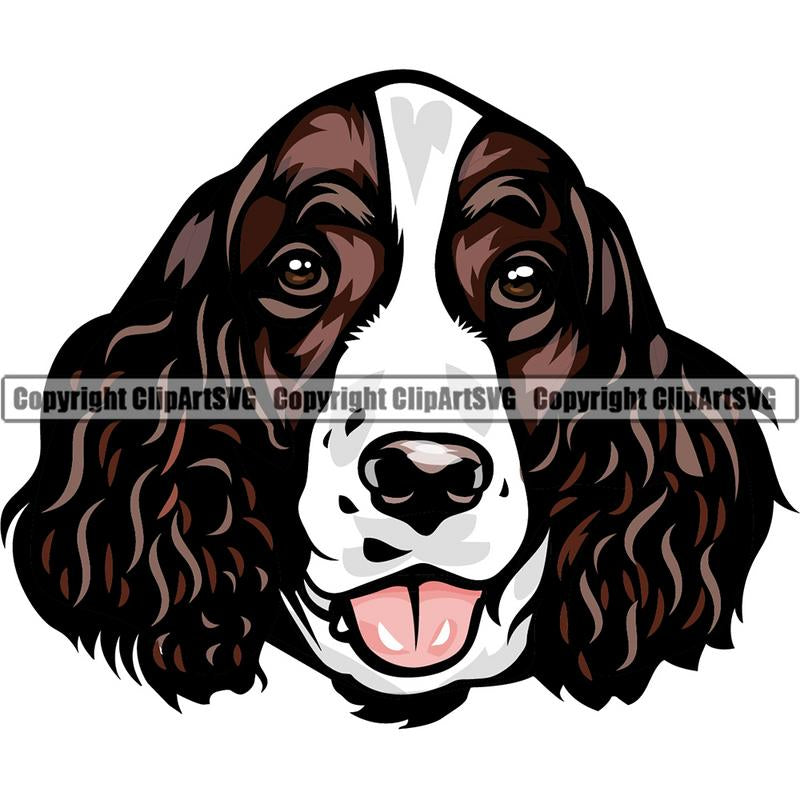 English Springer 6yhkmb Dog Breed Head Color ClipArt SVG