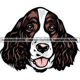 English Springer 6yhkmb Dog Breed Head Color ClipArt SVG