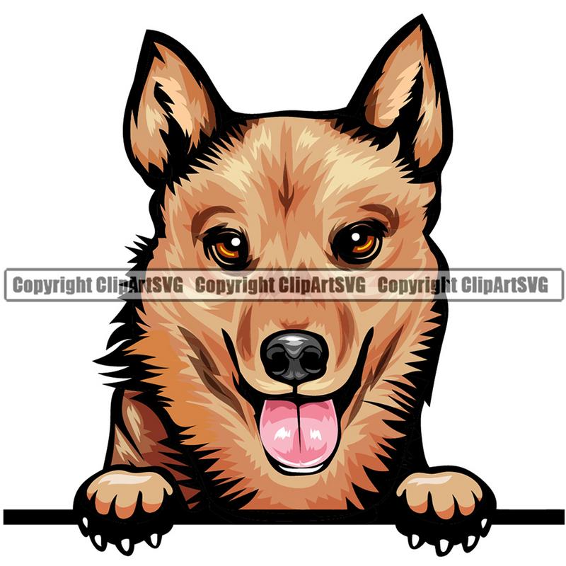 Finnish Spitz Dog Breed Peeking Color ClipArt SVG