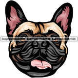 French Bulldog Dog Breed Head Color ClipArt SVG