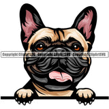 French Bulldog Dog Breed Peeking Color ClipArt SVG