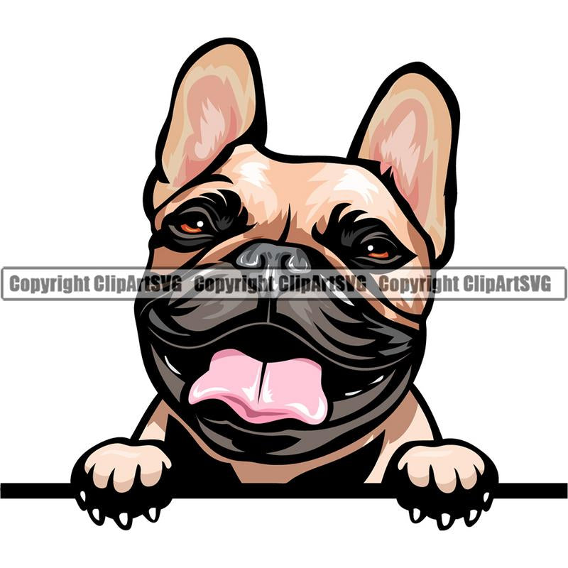 French Bulldog Dog Breed Peeking Color ClipArt SVG