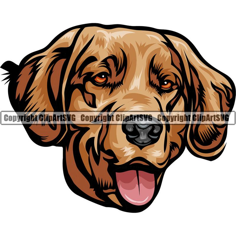 Golden Retriever Dog Breed Head Color ClipArt SVG