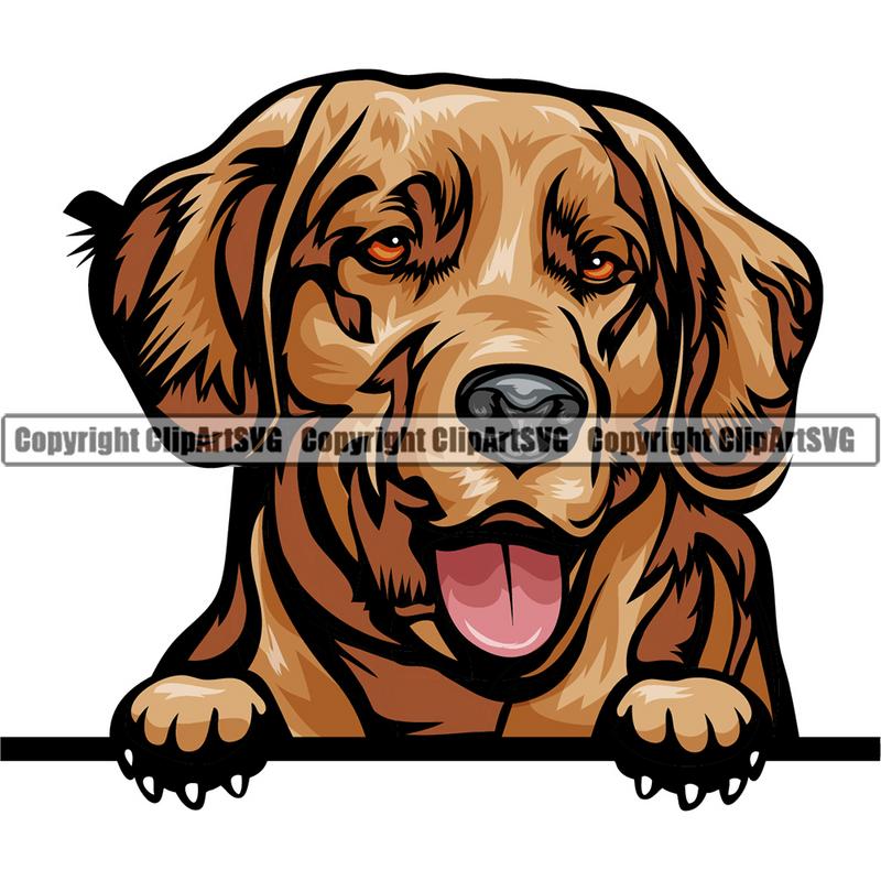 Golden Retriever Dog Breed Peeking Color ClipArt SVG