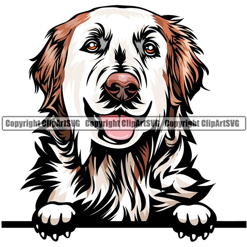 Golden Retriever Dog Breed Peeking Color ClipArt SVG