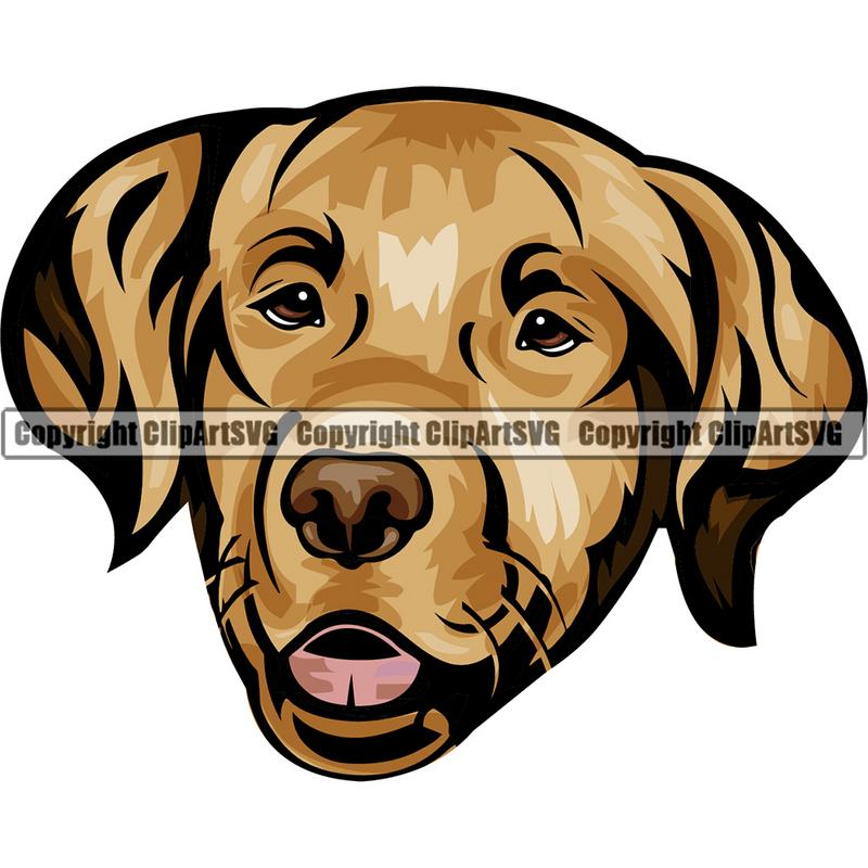 Golden Retriever Dog Breed Head Color ClipArt SVG