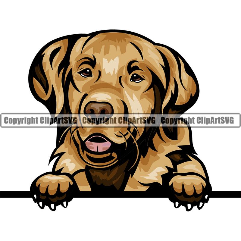 Golden Retriever Dog Breed Peeking Color ClipArt SVG