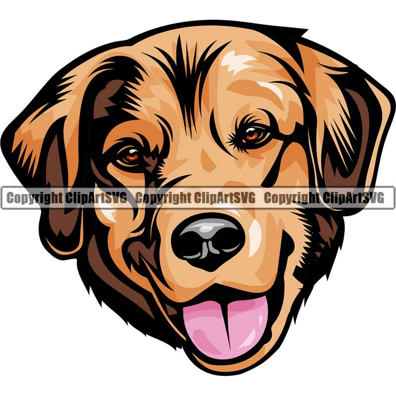 Golden Retriever Dog Breed Head Color ClipArt SVG