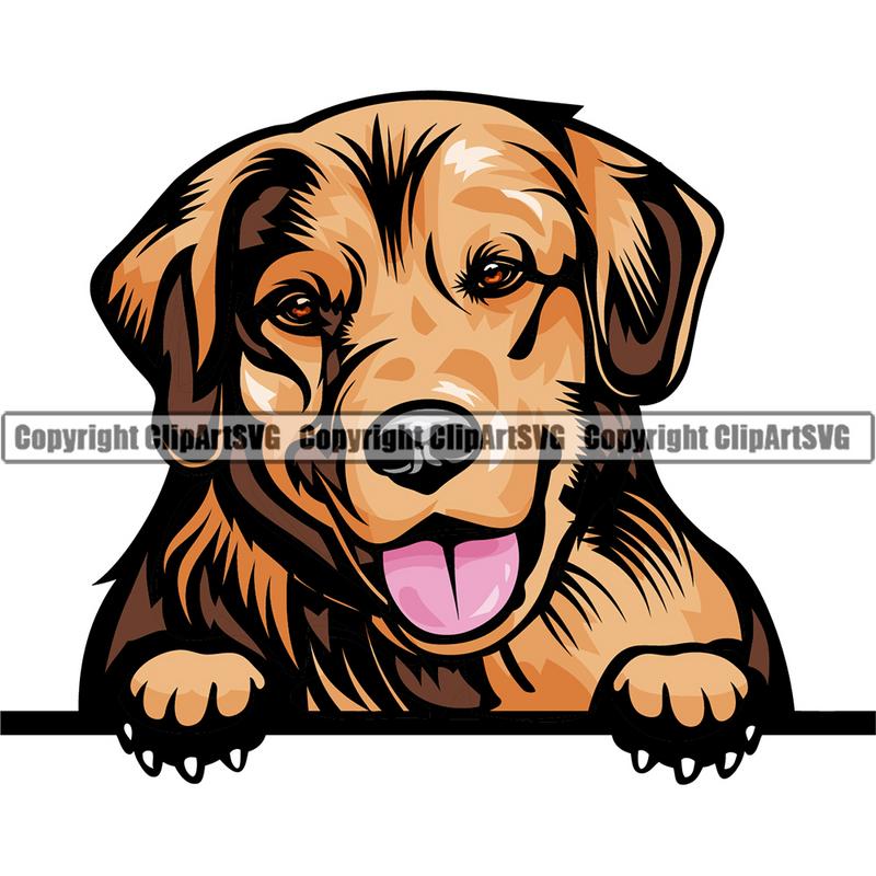 Golden Retriever Dog Breed Peeking Color ClipArt SVG