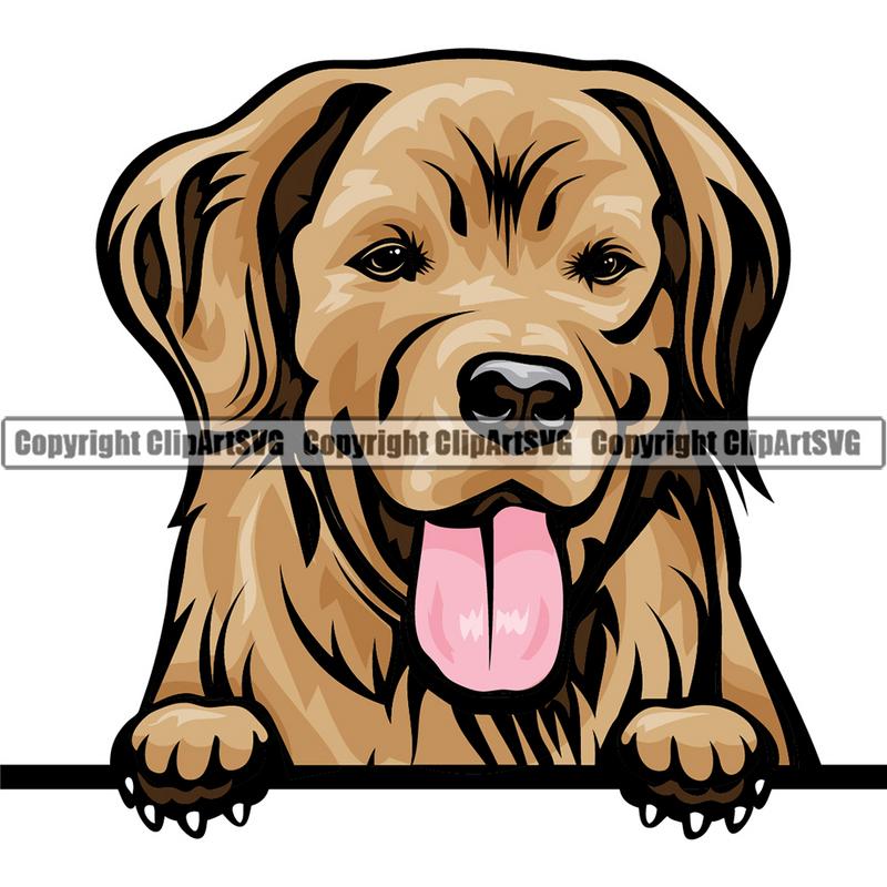 Golden Retriever Dog Breed Peeking Color ClipArt SVG