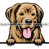 Golden Retriever Dog Breed Peeking Color ClipArt SVG