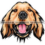 Golden Retriever Dog Breed Head Color ClipArt SVG