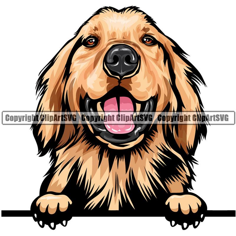 Golden Retriever Dog Breed Peeking Color ClipArt SVG