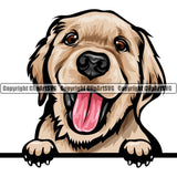 Golden Retriever Dog Breed Peeking Color ClipArt SVG