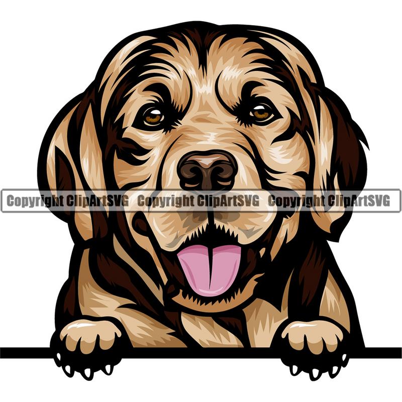 Golden Retriever Dog Breed Peeking Color ClipArt SVG