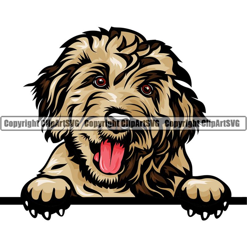Goldendoodle Dog Breed Peeking Color ClipArt SVG