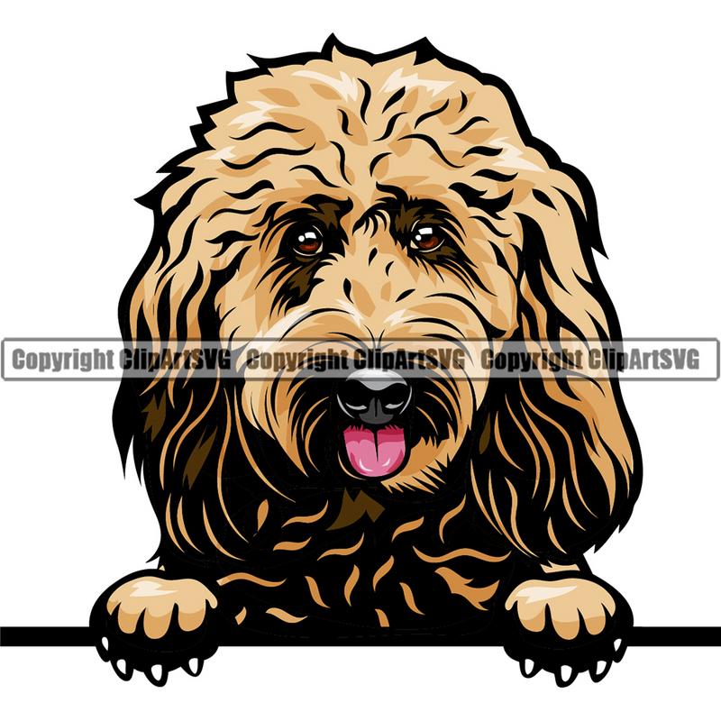 Goldendoodle Dog Breed Peeking Color ClipArt SVG