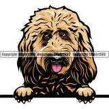 Goldendoodle Dog Breed Peeking Color ClipArt SVG