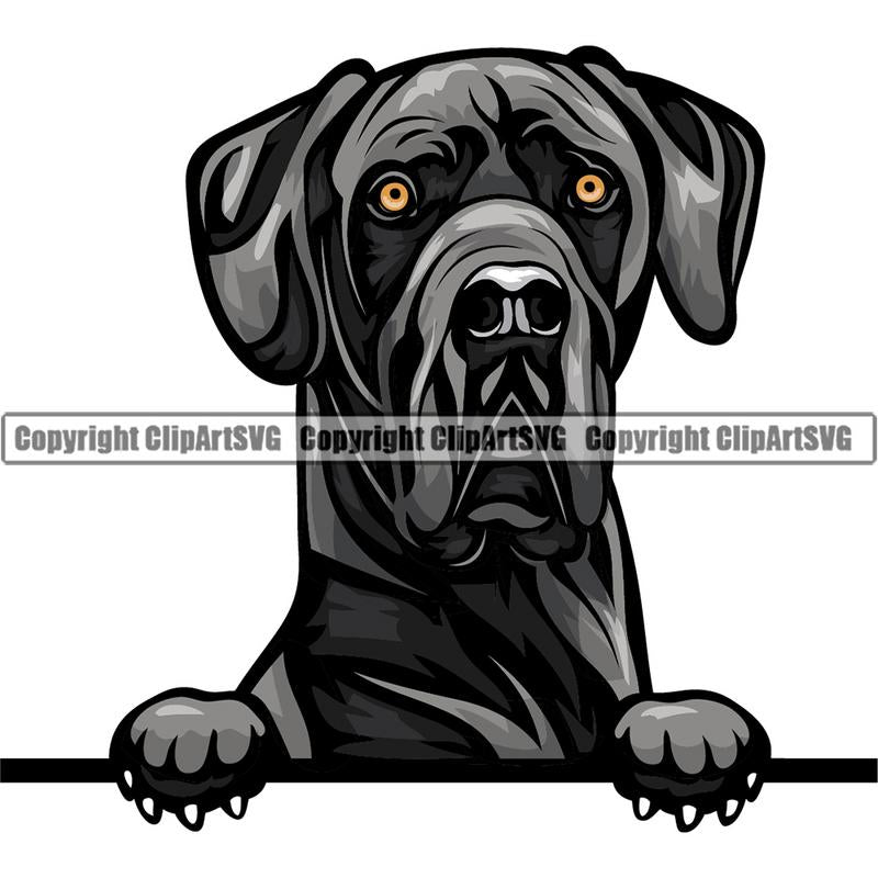 Great Dane Dog Breed Peeking Color ClipArt SVG