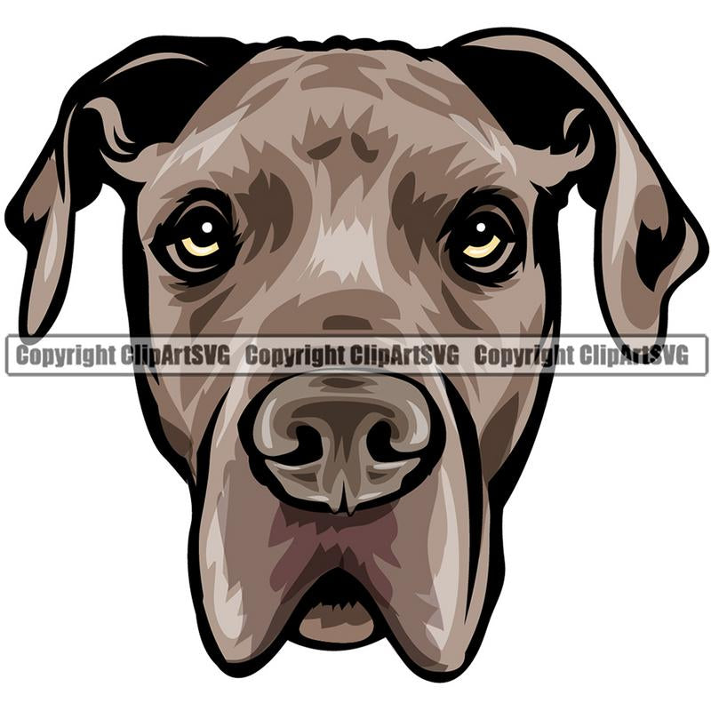 Great Dane Dog Breed Head Color ClipArt SVG