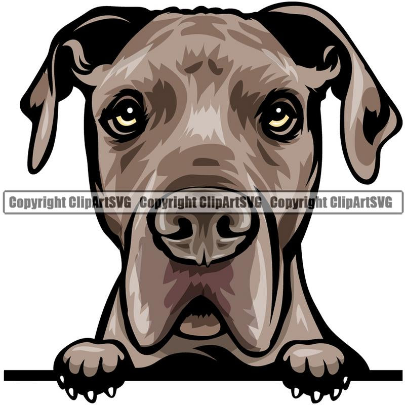 Great Dane Dog Breed Peeking Color ClipArt SVG