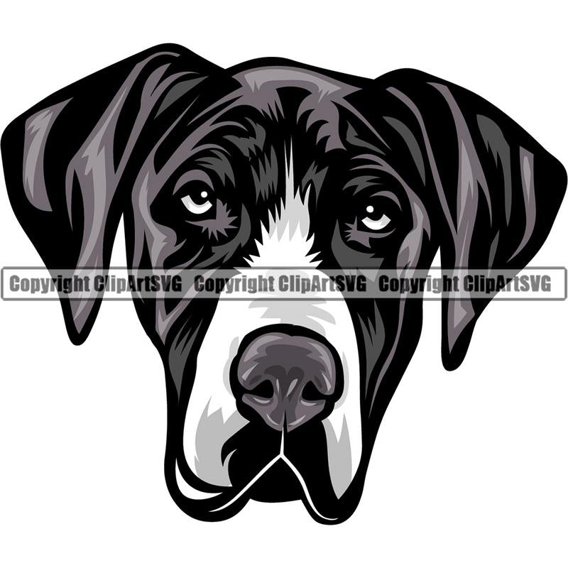 Great Dane Dog Breed Head Color ClipArt SVG
