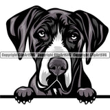 Great Dane Dog Breed Peeking Color ClipArt SVG
