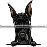 Great Dane Dog Breed Peeking Color ClipArt SVG