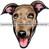 Greyhound Dog Breed Head Color ClipArt SVG