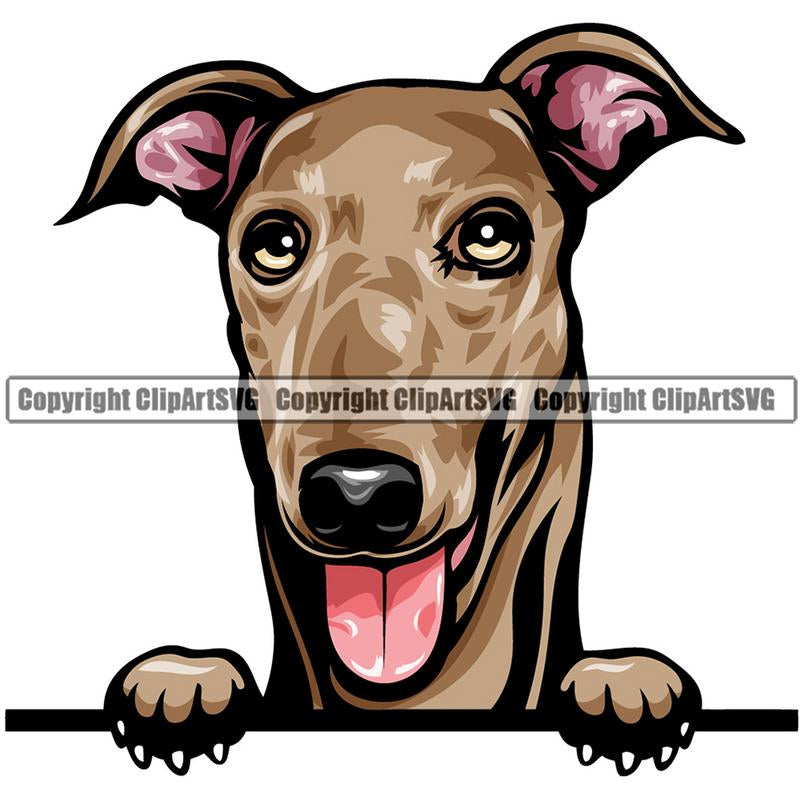 Greyhound Dog Breed Peeking Color ClipArt SVG