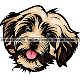 Havanese Dog Breed Head Color ClipArt SVG