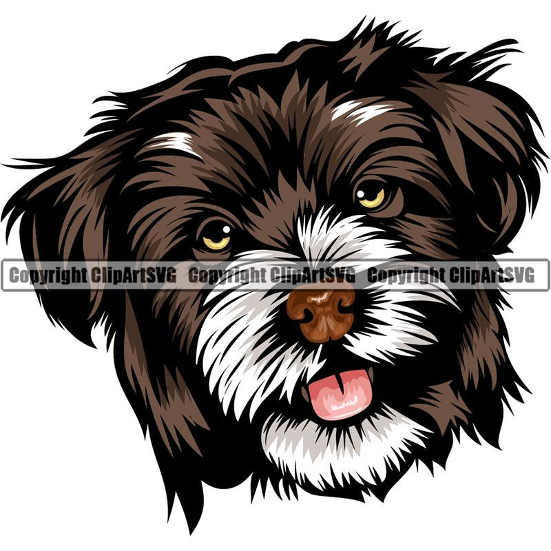 Havanese Dog Breed Head Color ClipArt SVG