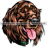 Irish Setter Dog Breed Head Color ClipArt SVG