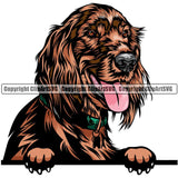 Irish Setter Dog Breed Peeking Color ClipArt SVG