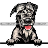 Irish Wolfhound Dog Breed Peeking Color ClipArt SVG