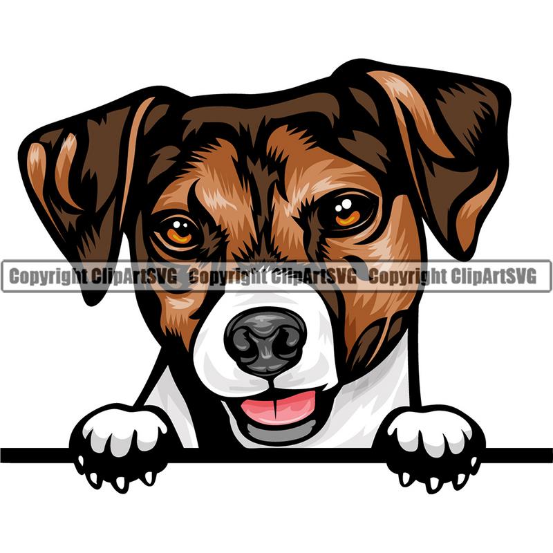 Jack Russell Terrier Dog Breed Peeking Color ClipArt SVG