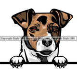 Jack Russell Terrier Dog Breed Peeking Color ClipArt SVG
