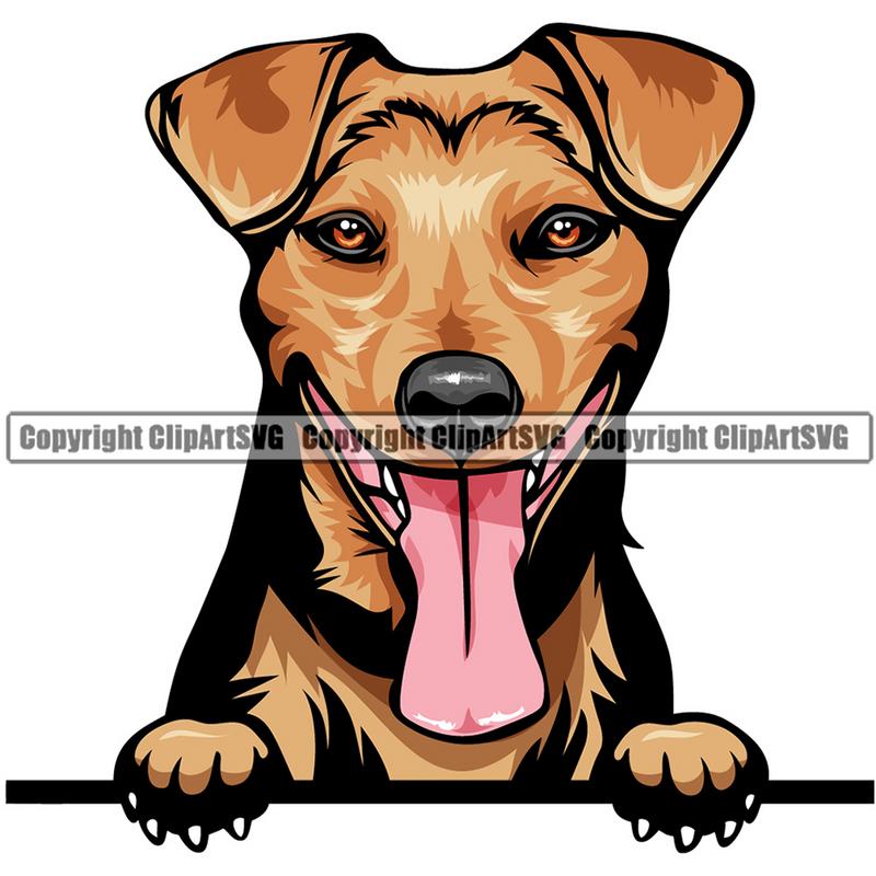 Jack Russell Terrier Dog Breed Peeking Color ClipArt SVG