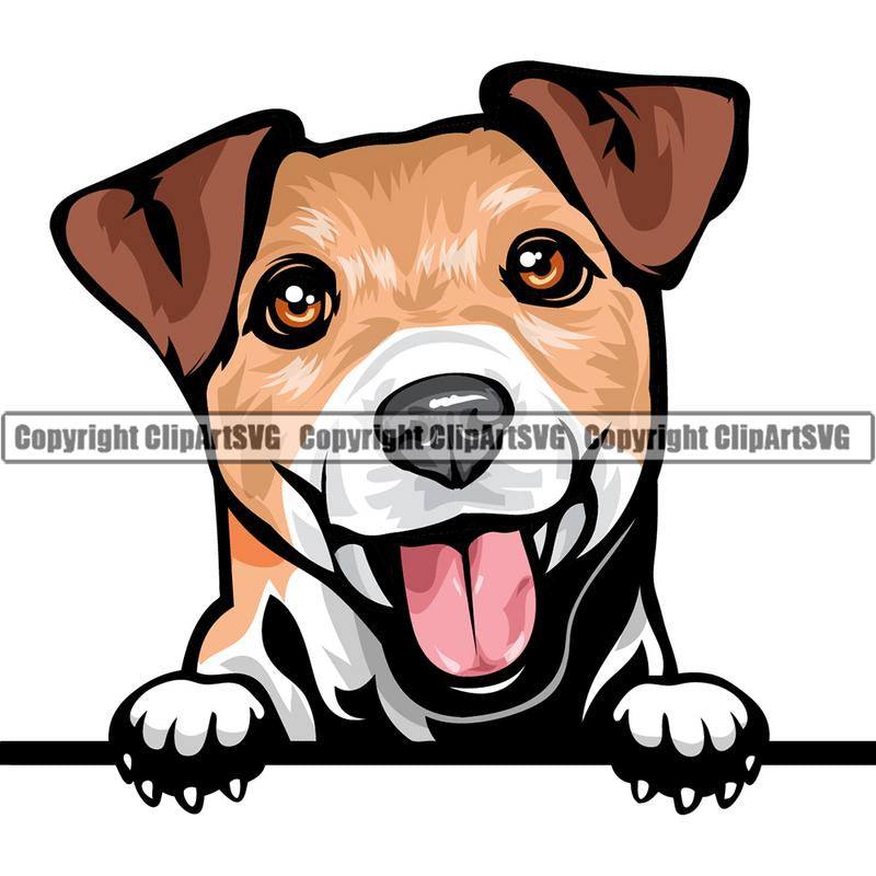 Jack Russell Terrier Dog Breed Peeking Color ClipArt SVG