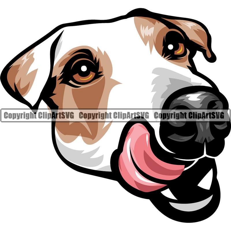 Jack Russell Terrier Dog Breed Head Color ClipArt SVG