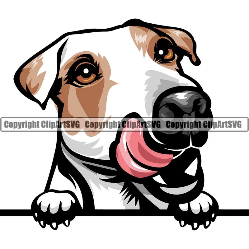 Jack Russell Terrier Dog Breed Peeking Color ClipArt SVG